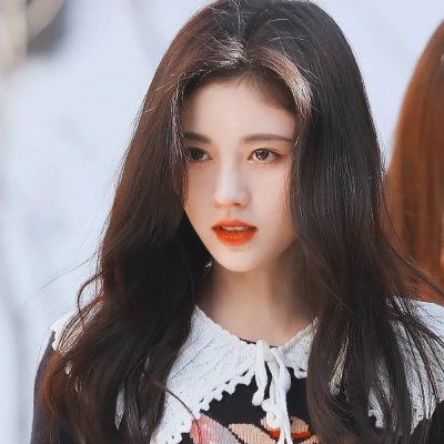 年度鸟事