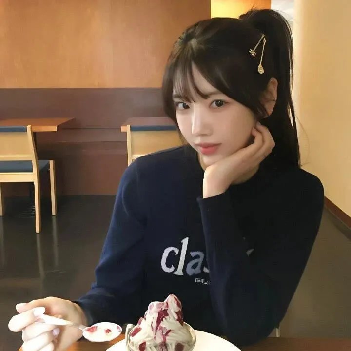 哈莱姆的郁金香